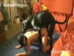 The owner, a little, golden-haired kid of legal age, gets beaten from behind by a large, black dog.